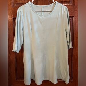 D & Co Essentials Large Petit Aqua Blue Paneled Pullover Top